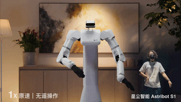会颠勺的国产机器人来了：大模型加持，家务能力满分_1  第9张
