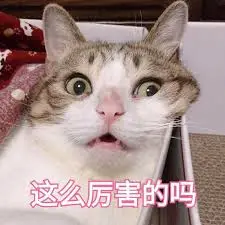 微软Office全家桶再爆办公革命，o1模型加持重塑十亿人工作流！1句话生成PPT+自定义智能体  第8张