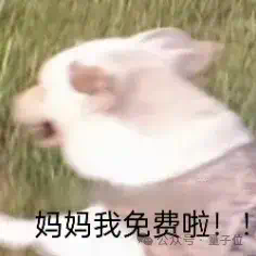 GPT-4.5马上发布，GPT-5免费畅聊！奥特曼剧透大动作，网友：让DeepSeek整破防了  第7张