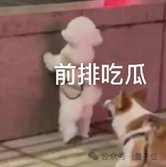 小扎千亿挖人名单下一位：硅谷华人AI高管第一人  第6张