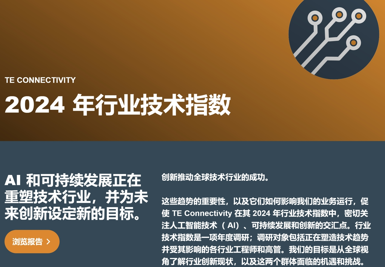 TE发布2024年《行业技术指数》报告：中国是对AI技术信心最强国家  第1张