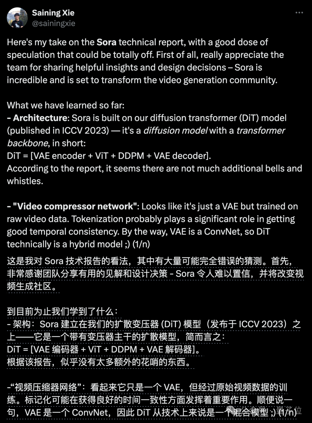 谢赛宁紧急辟谣：Sora跟我一点关系没有，他们996搞一年了  第6张