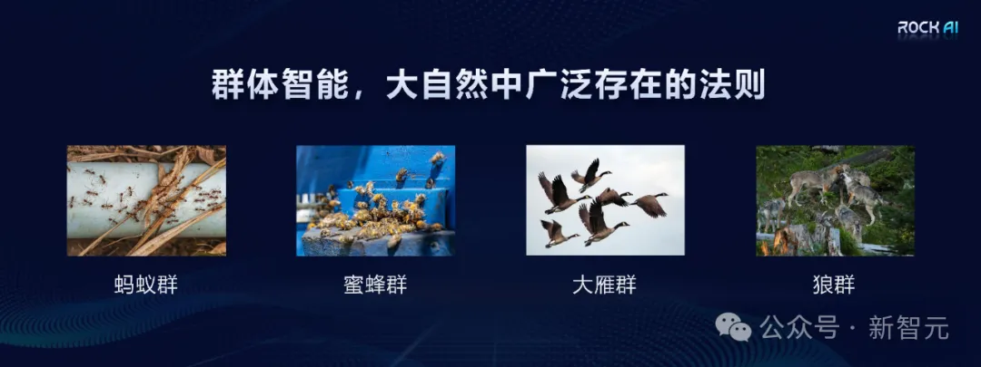 「群体智能」剑指AGI革命！国产架构挑战Transformer霸权，首款非Attention模型更新  第22张