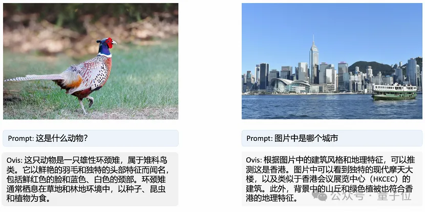 新SOTA来了：国产9B模型多项得分超4o-mini，中国出海电商已经用上了  第7张