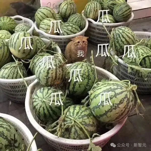马斯克xAI估值240亿美元，LeCun隔空开怼，竟上升到人身攻击！  第2张