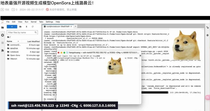 速来！潞晨Open-Sora羊毛可薅，10元轻松上手视频生成  第12张