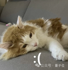 被拒稿11年后翻盘获时间检验奖，DSN作者谢赛宁：拒稿≠学术死刑  第12张