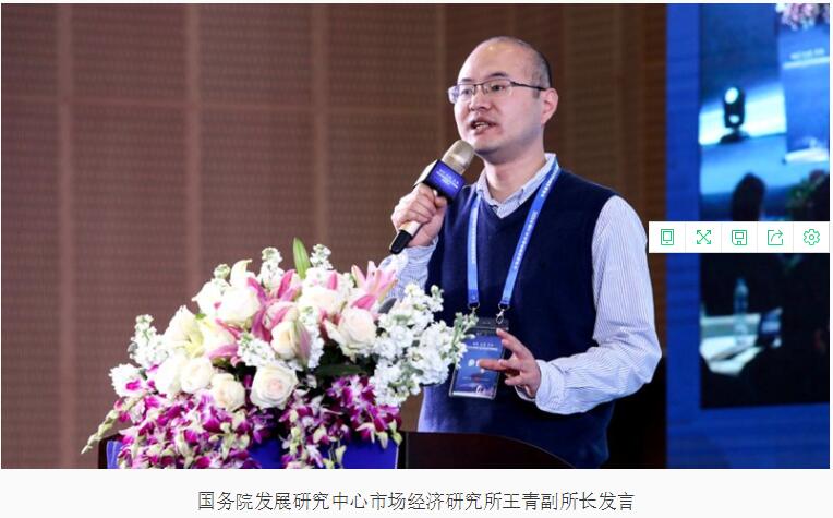 2020中国汽车市场发展预测峰会在长沙召开  第7张