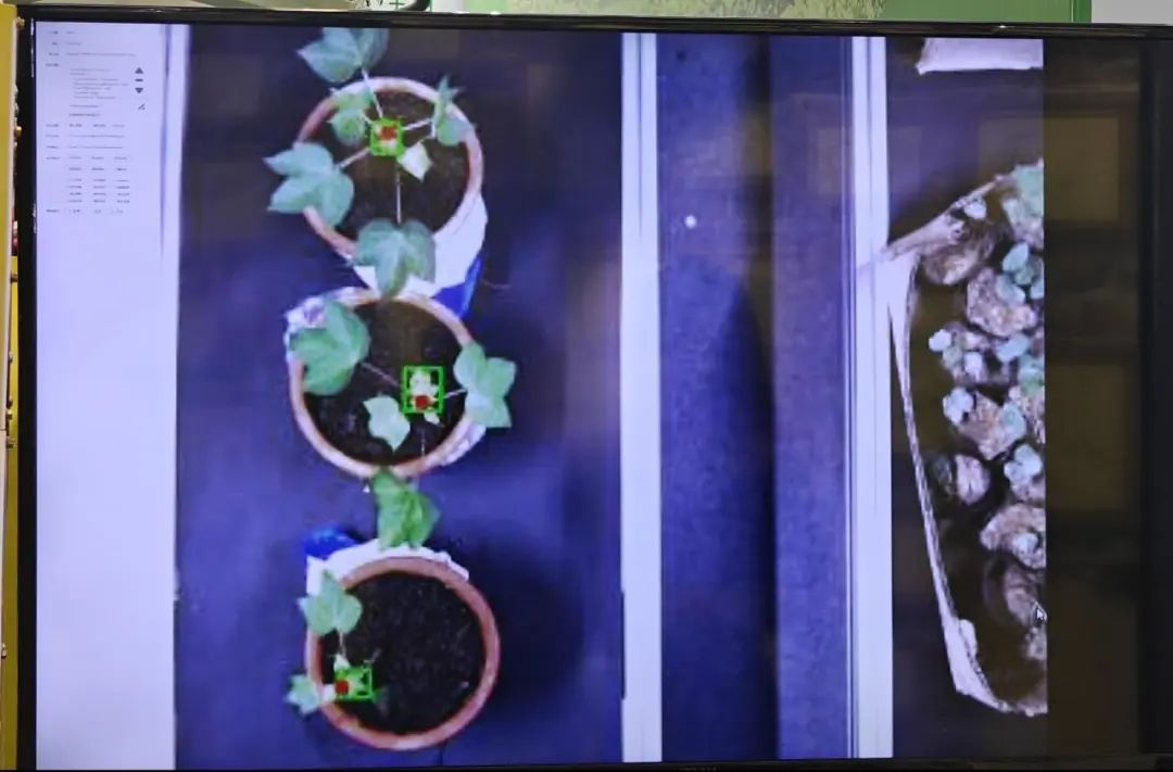 美格智能携手阿加犀，助力维田科技发布第二代智能植保机器人  第2张