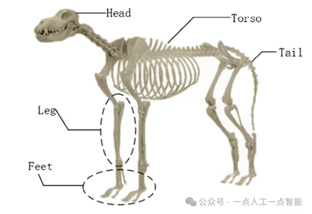四足机器人的结构、控制及运动控制  第1张