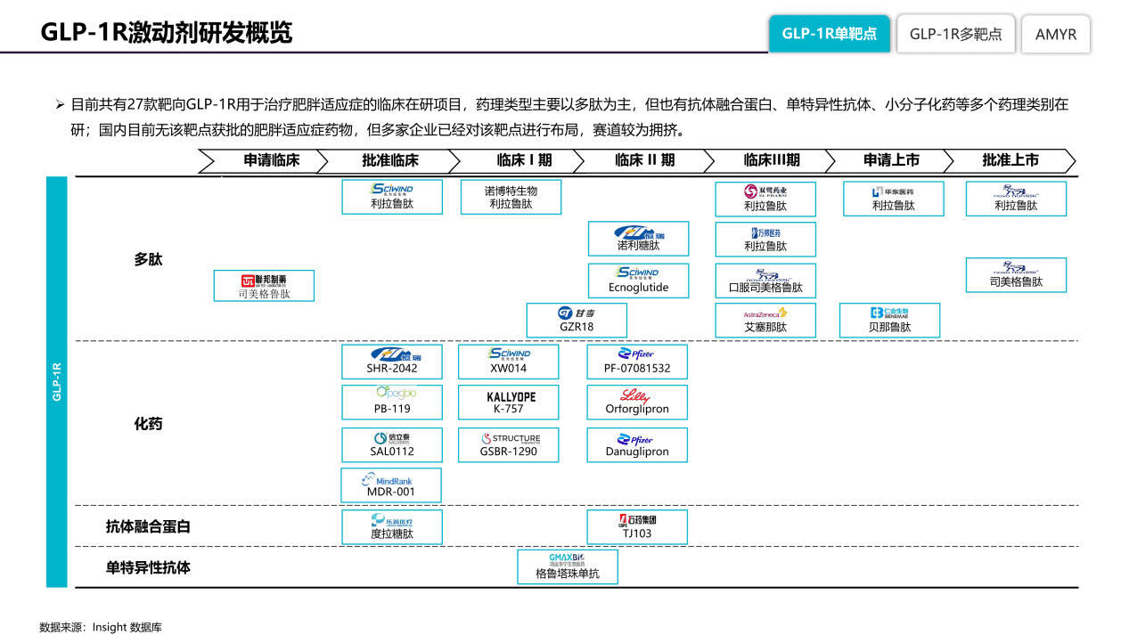 baidu09《全球肥胖症药物竞争格局分析报告》——引爆百亿市场，减肥市场下一热点  第4张
