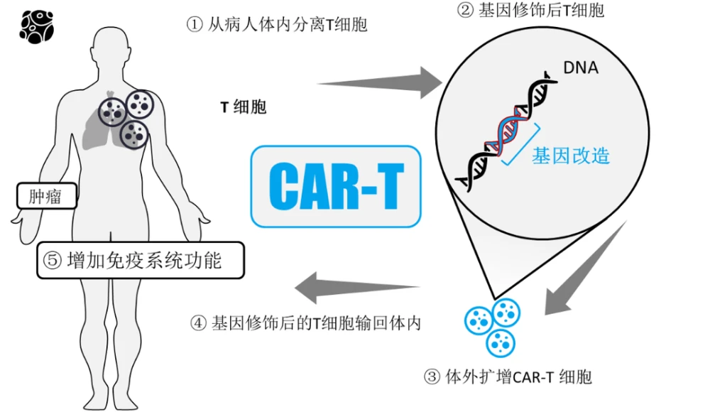百度拜读09baidu一针120万，天价CAR-T疗法如何生根？