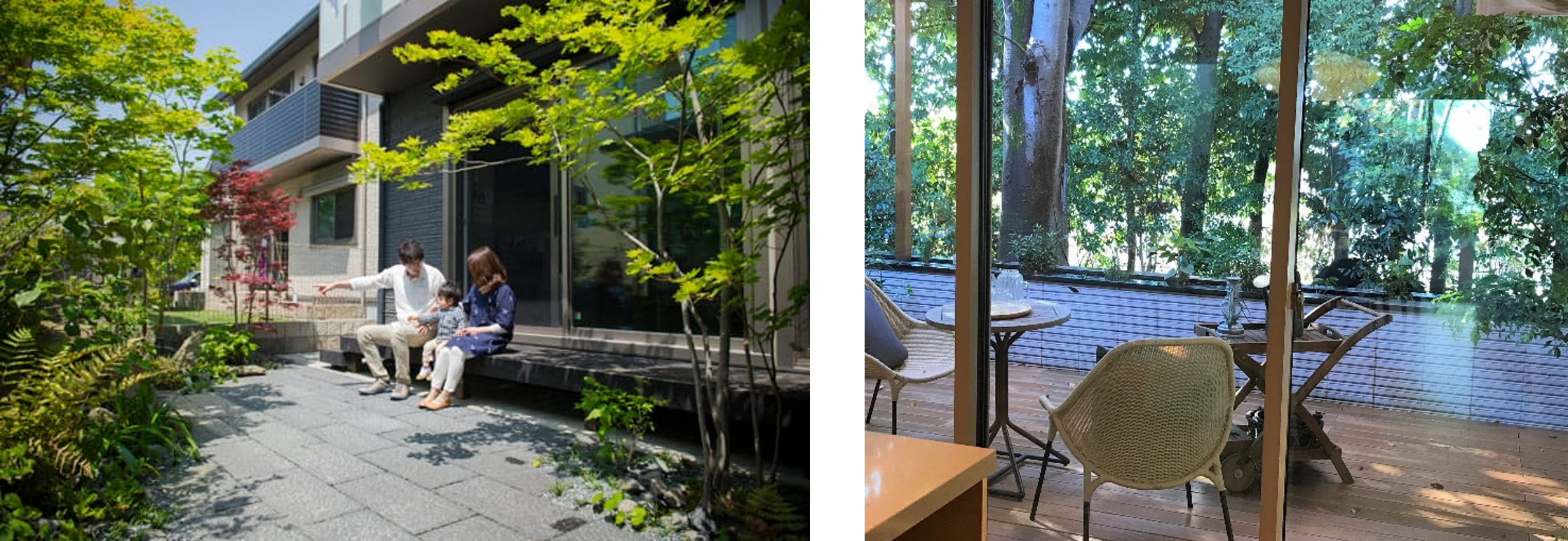百度拜读09baidu东京大学与 Sekisui House 启动生物多样性与健康联合研究  第1张