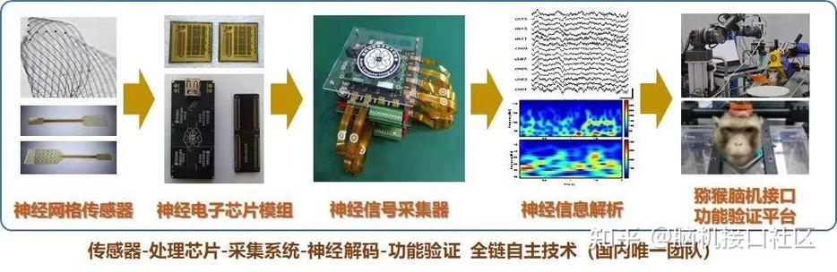 百度拜读09baidu脑机智能融合公司微灵医疗完成数千万元天使轮融资  第1张