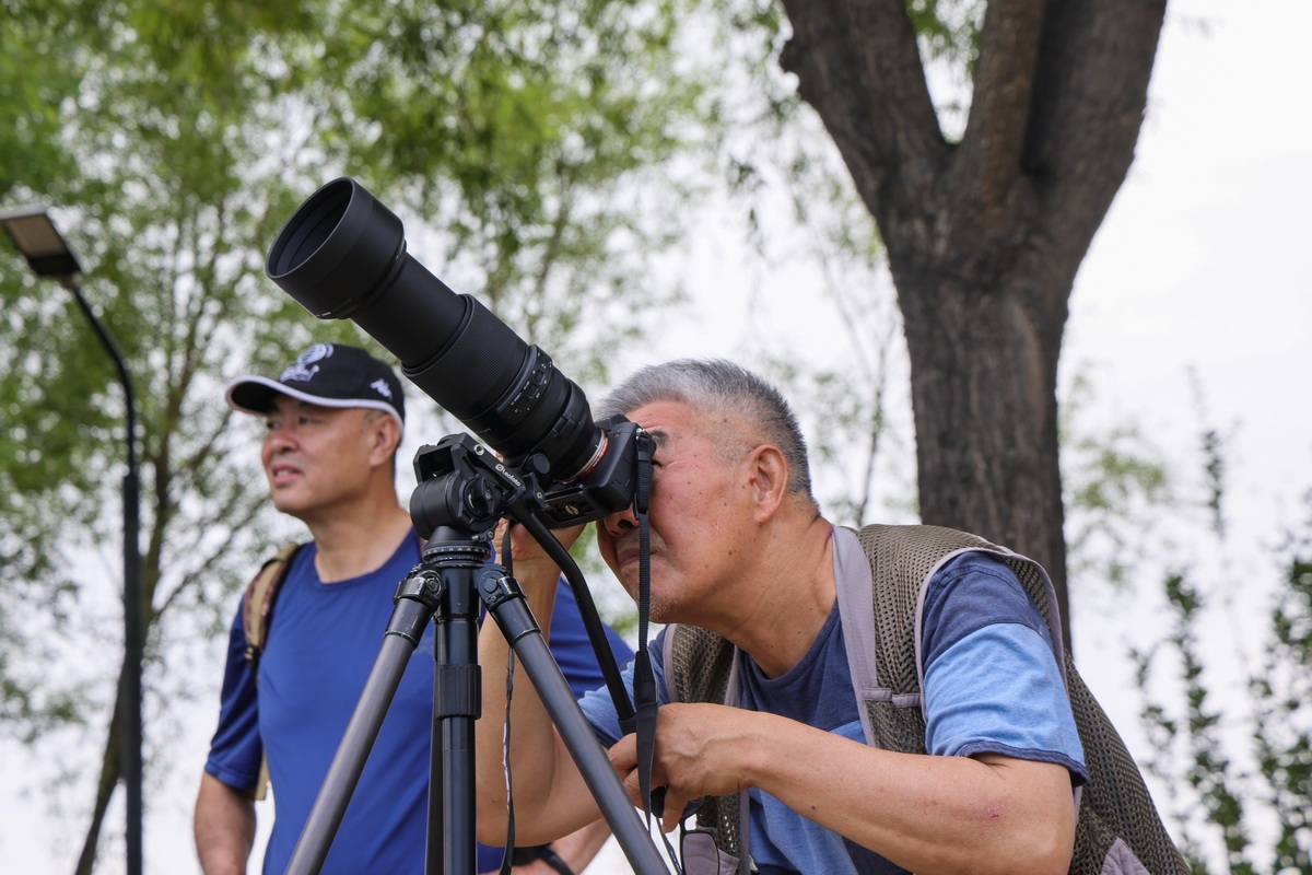 轻巧高画质 腾龙无反大龙炮体验会成功举办  第11张