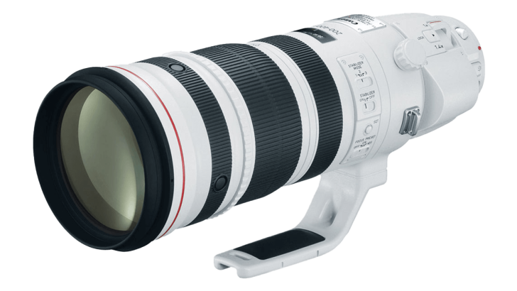佳能RF 200-500mm F4或将在第四季度发布  第1张