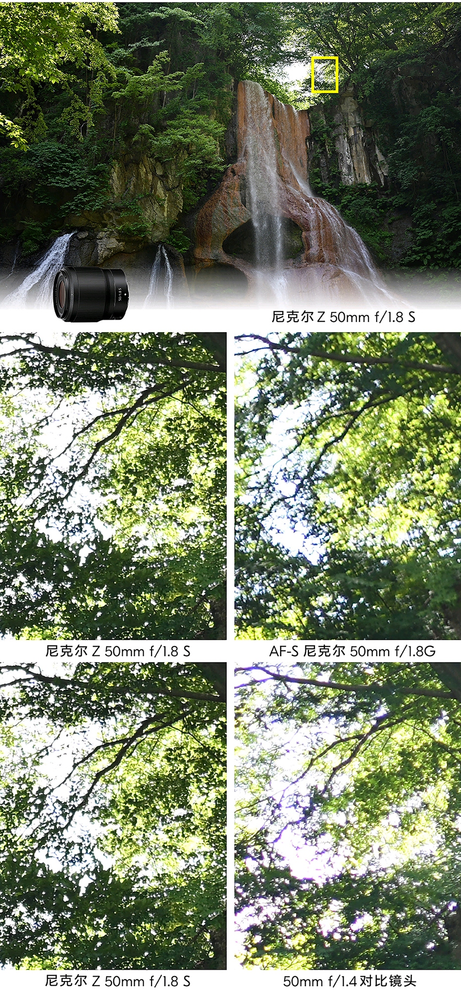 尼康公开f／1.8系列镜头对比照片  第5张