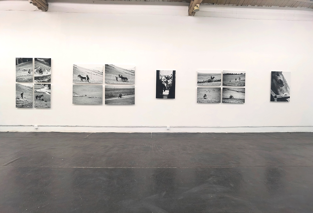 新展 ｜ 镜里镜外 —— 汤梓轩摄影展  第4张