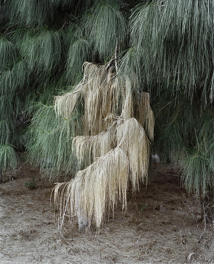 「海的尽头是草原」高岩个展  第1张