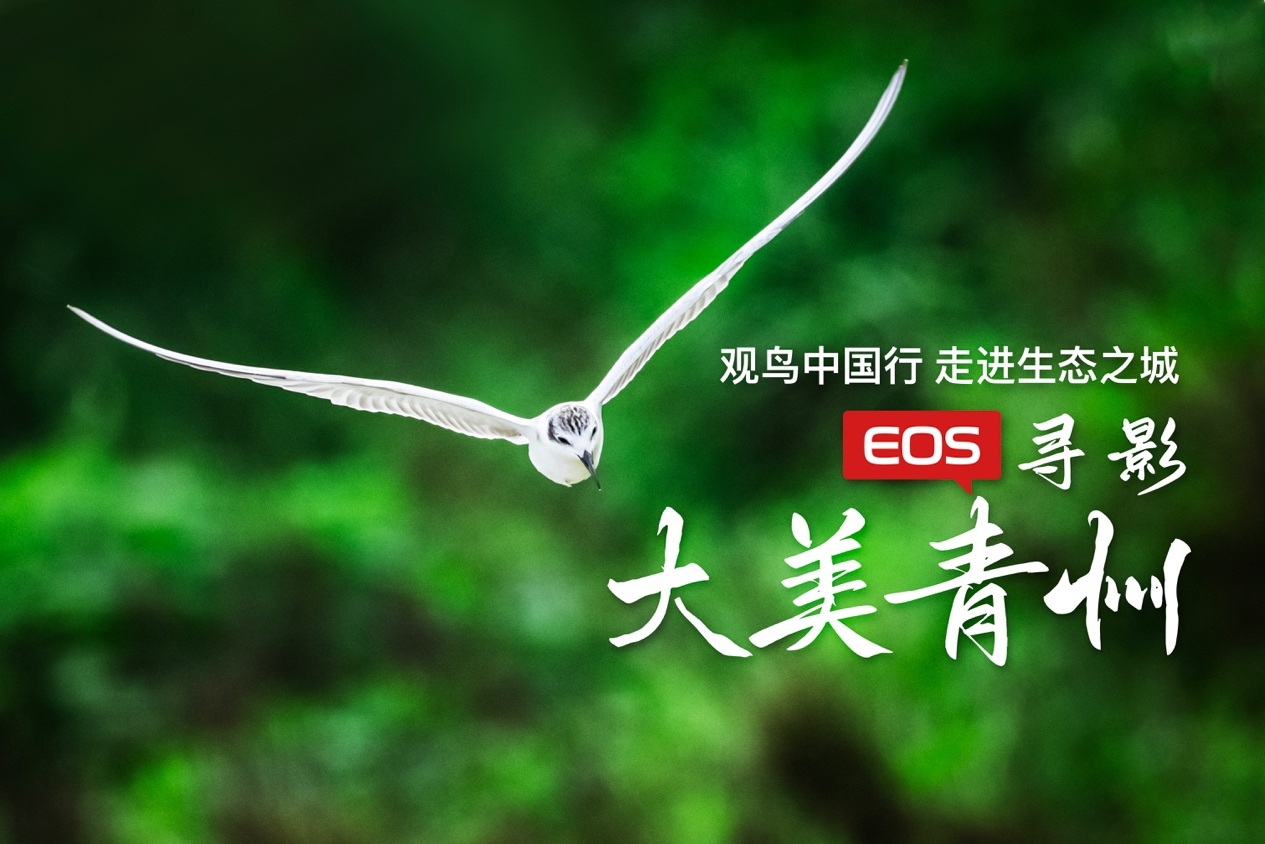 观鸟中国行走进青州 EOS寻影生态之城  第1张