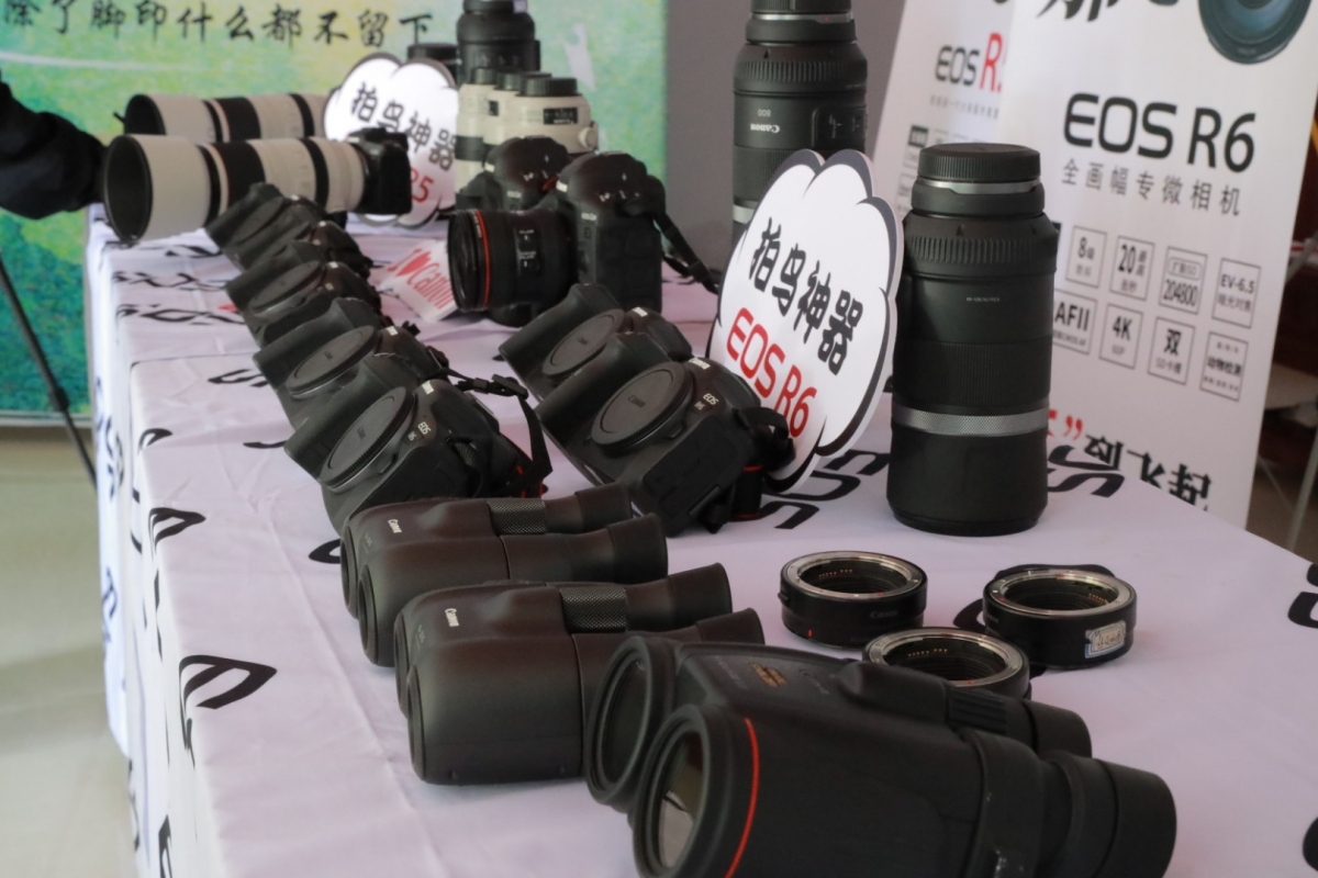 观鸟中国行走进青州 EOS寻影生态之城  第2张