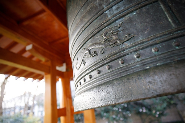 佳能RF 15-35mm F2.8L IS USM实拍样张欣赏  第8张