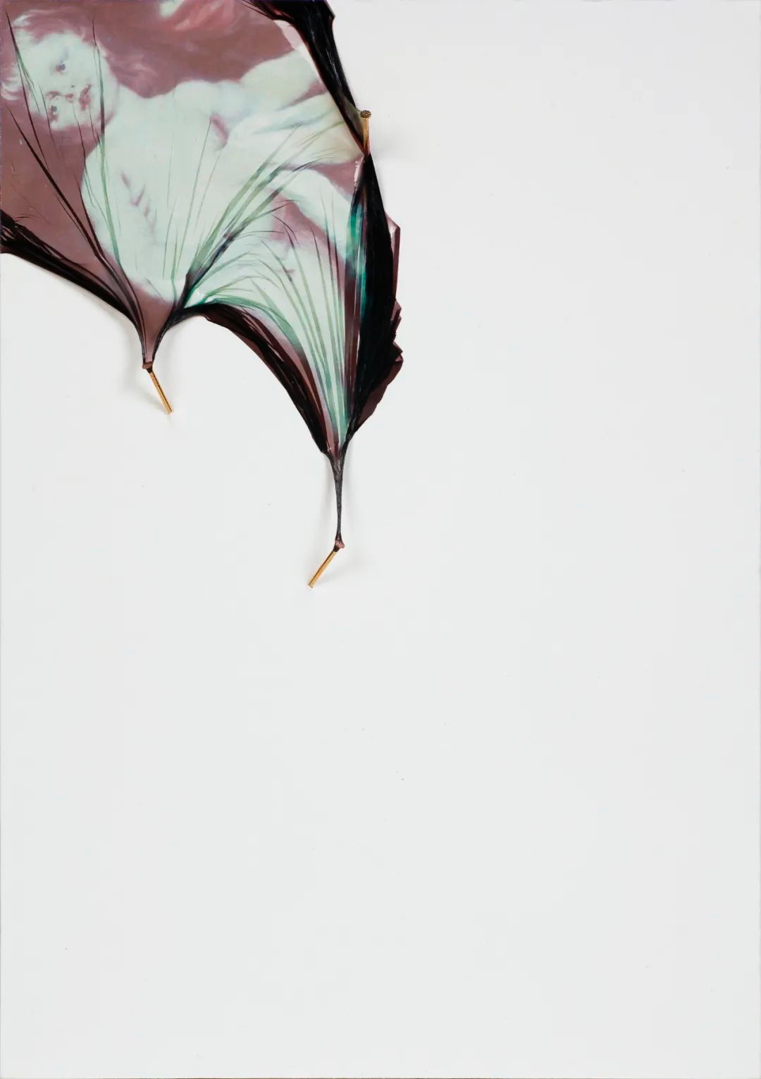 蒋鹏奕个展于谢画廊开展  第4张