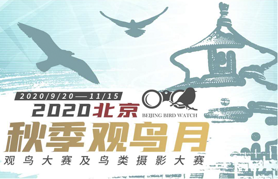 2020北京秋季观鸟月系列活动 走进秋色圆明园  第10张
