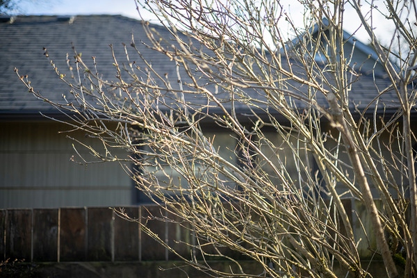 佳能RF 50mm F1.8实拍样张欣赏  第4张