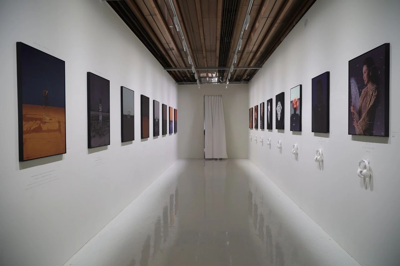 陈漫个展“龙·雨·田”，以龙为引，自然与共  第11张