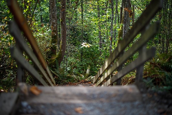 佳能RF50mm F1.2 L USM实拍样张欣赏  第12张