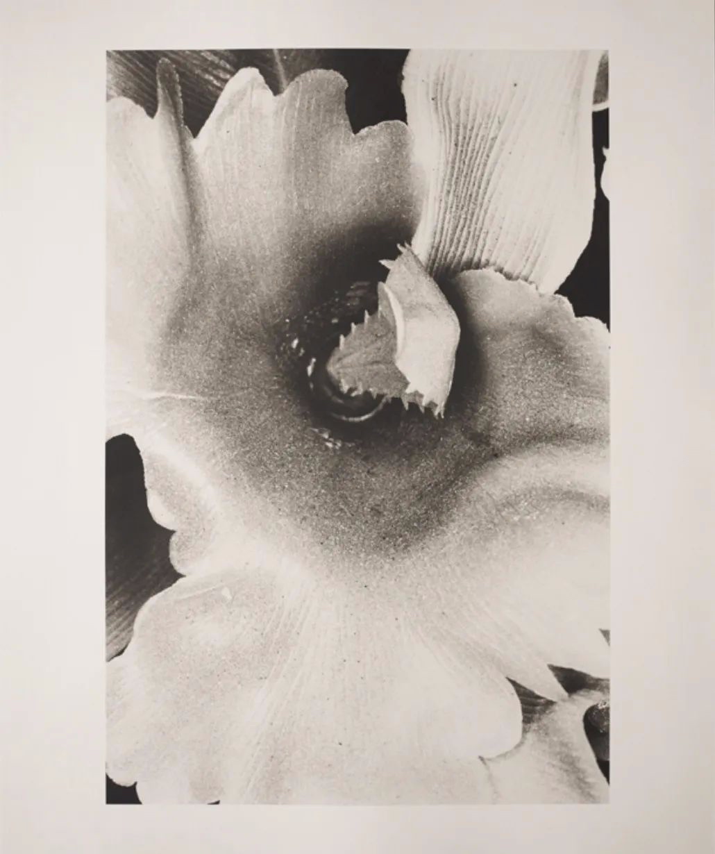 三影堂+3画廊十周年特展  第4张