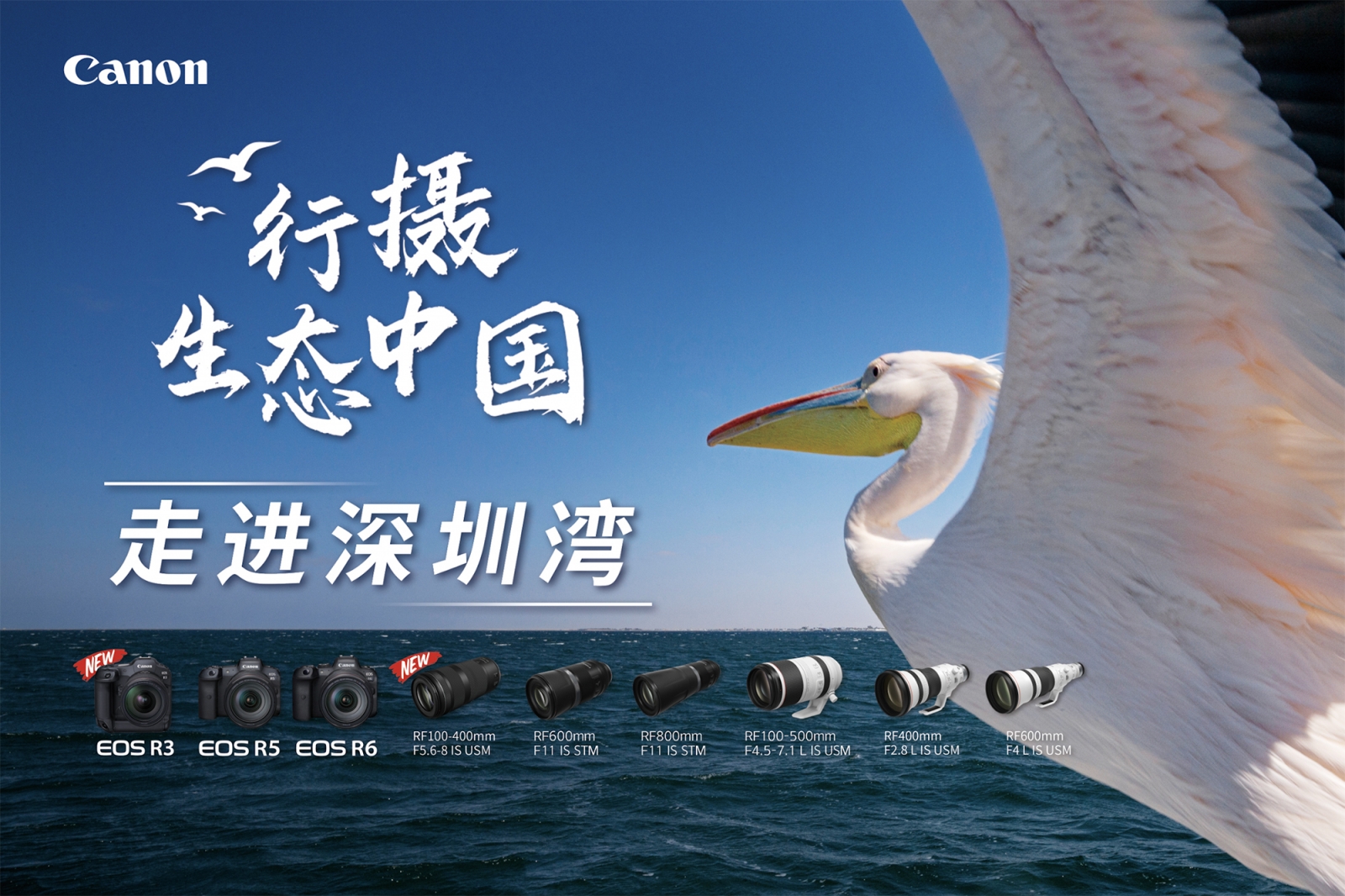 佳能“行摄生态中国”走进深圳湾  第15张