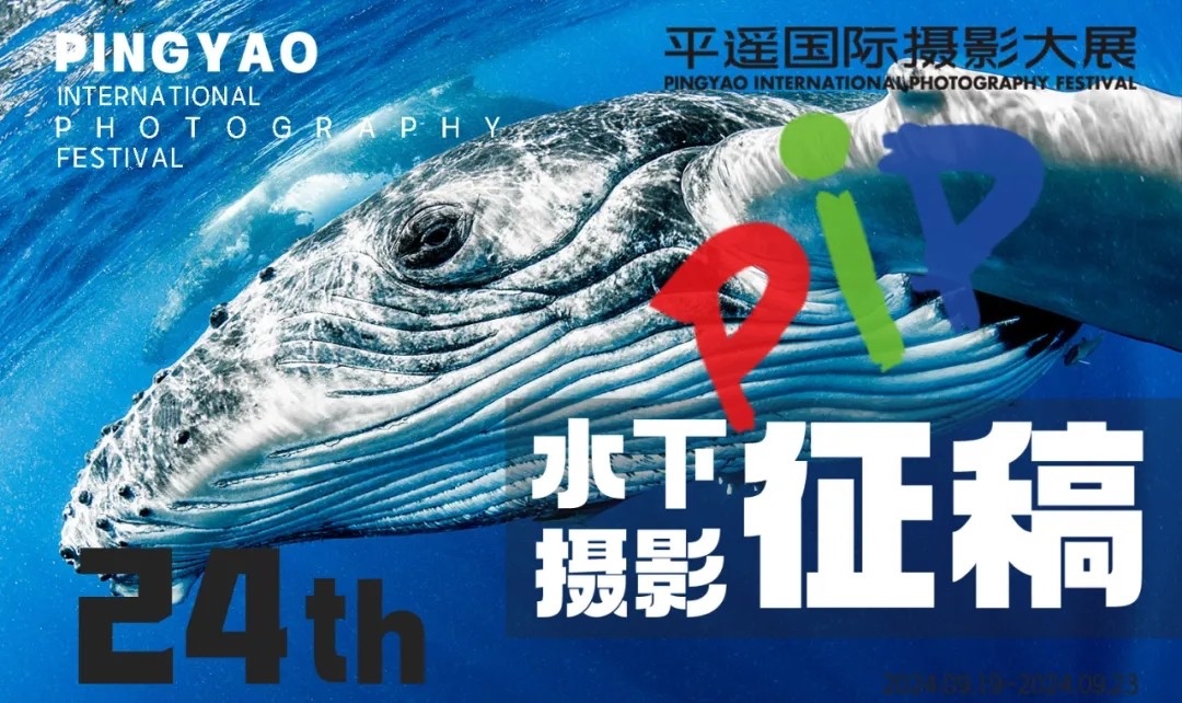 征稿 ｜ PIP平遥国际摄影大展隆重推出“新质影像 首届水下摄影展” ...  第1张