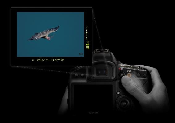 诠释专业决胜刹那 佳能发布新一代EOS旗舰机型EOS-1D X Mark III  第7张