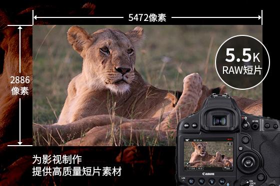 诠释专业决胜刹那 佳能发布新一代EOS旗舰机型EOS-1D X Mark III  第13张