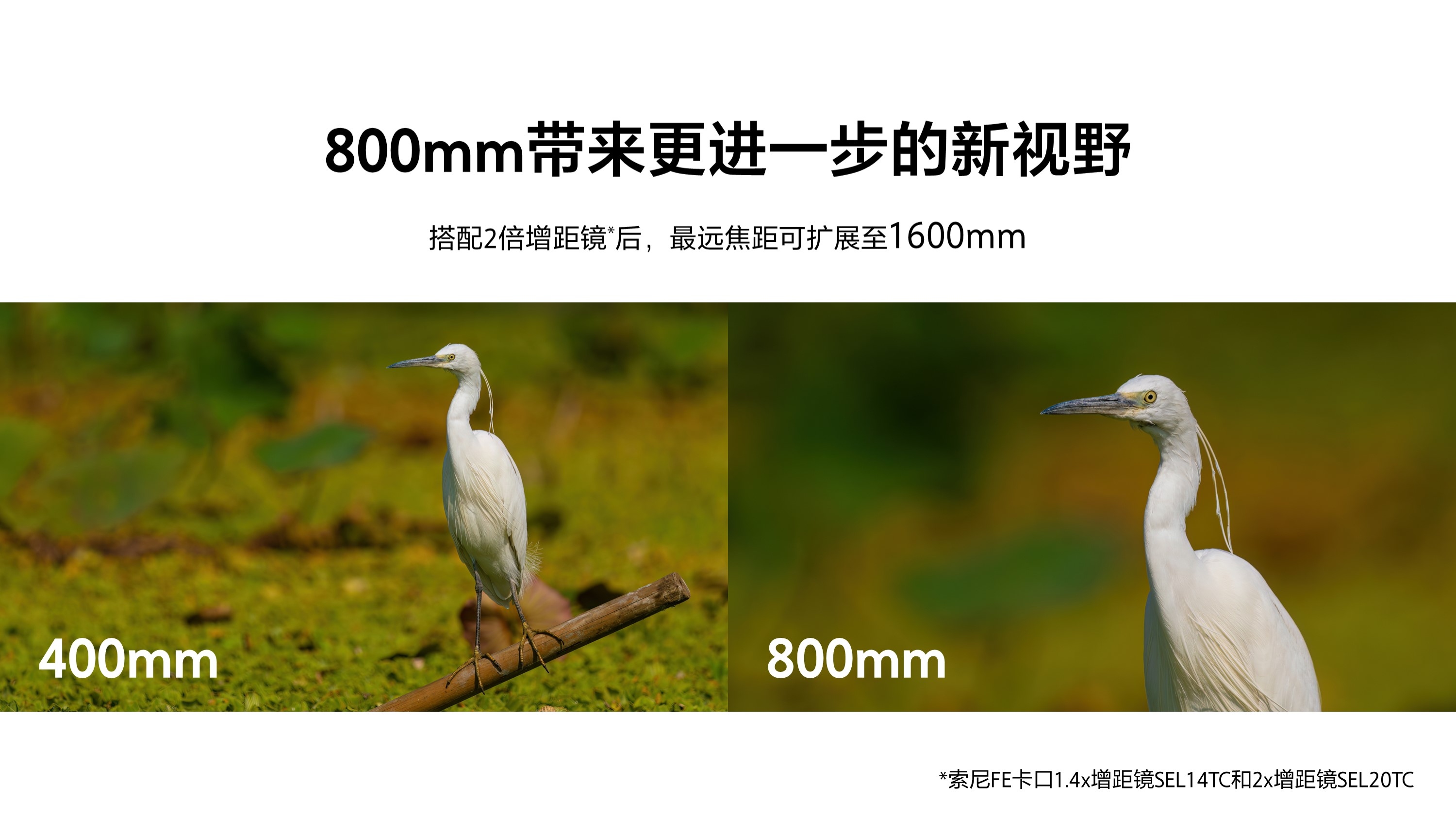 广纳天地 远摄苍穹 索尼G镜头FE 400-800mm F6.3-8、FE 16mm F1.8发布  第3张