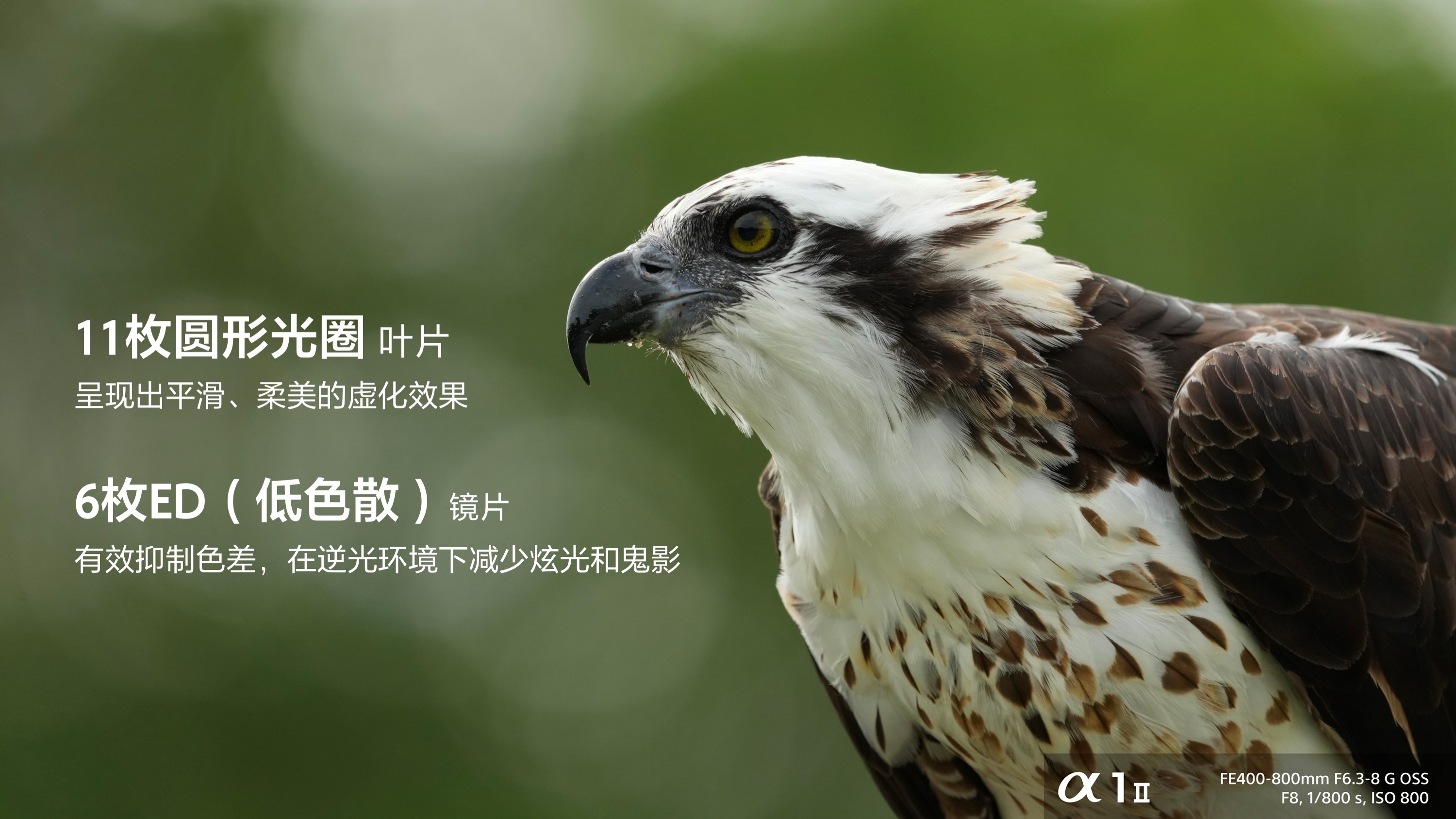 广纳天地 远摄苍穹 索尼G镜头FE 400-800mm F6.3-8、FE 16mm F1.8发布  第7张