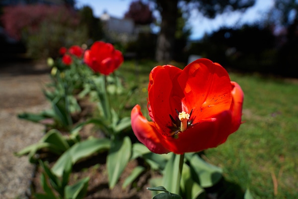 索尼FE 16-25mm F2.8 G实拍样张欣赏  第2张