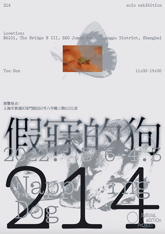 214个展「假寐的狗」  第1张