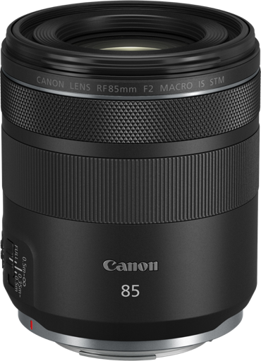 佳能RF 85mm F2实拍样张欣赏  第1张