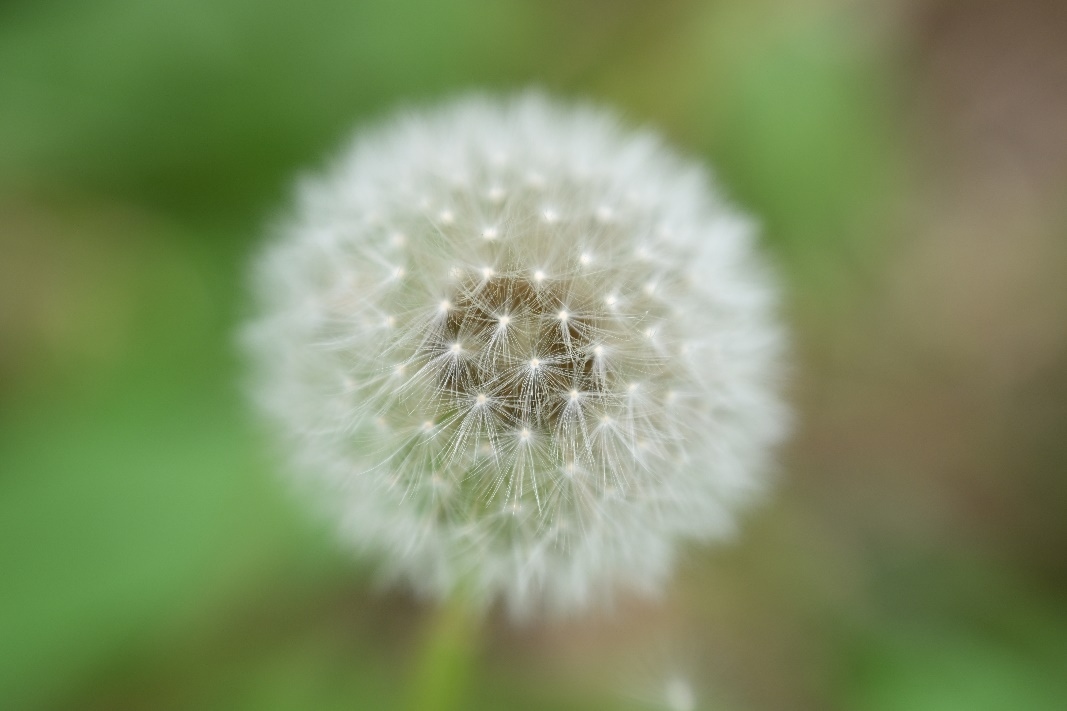 助力塑造氛围感 尼克尔 Z 70-180mm f／2.8今日开售  第2张