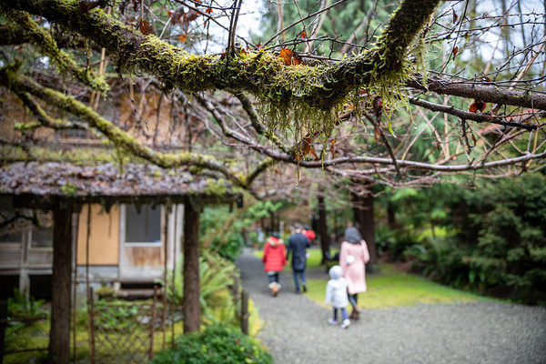适马24-70mm F2.8实拍样张  第7张