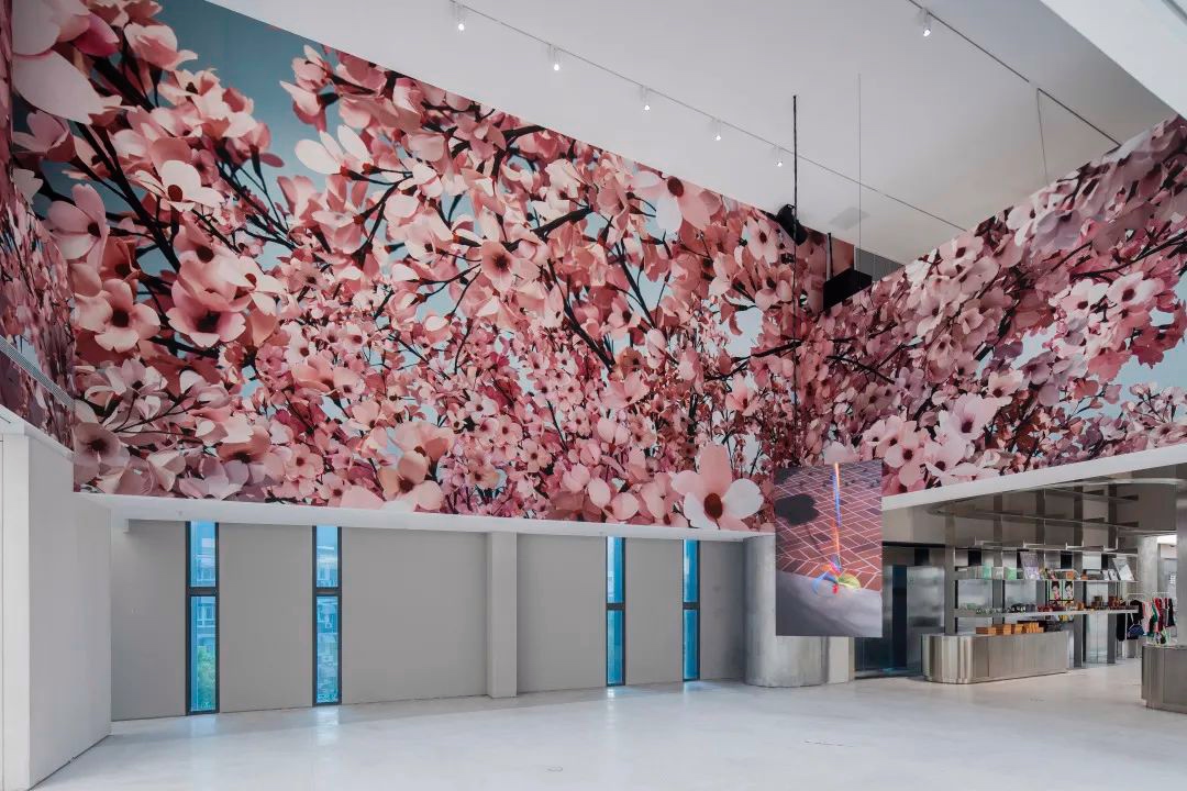 托马斯·迪曼德中国首个全面回顾展  第2张