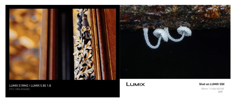 LUMIX Lab ver1.6 重磅更新！不只是后期，更是创作！  第3张