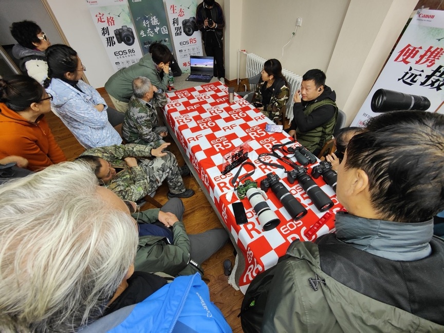 行摄生态中国 见证蓑羽鹤迁徙起程  第17张