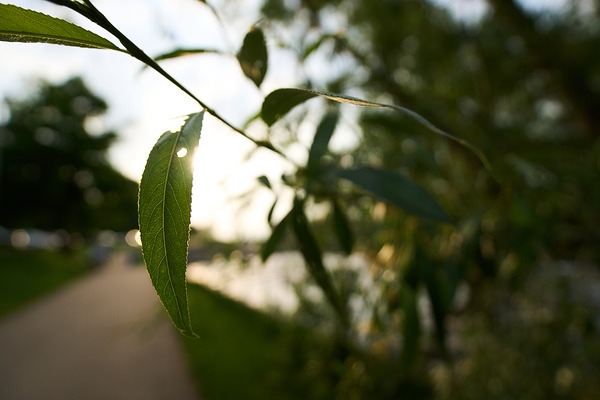 索尼E 11mm F1.8镜头实拍样张欣赏  第9张