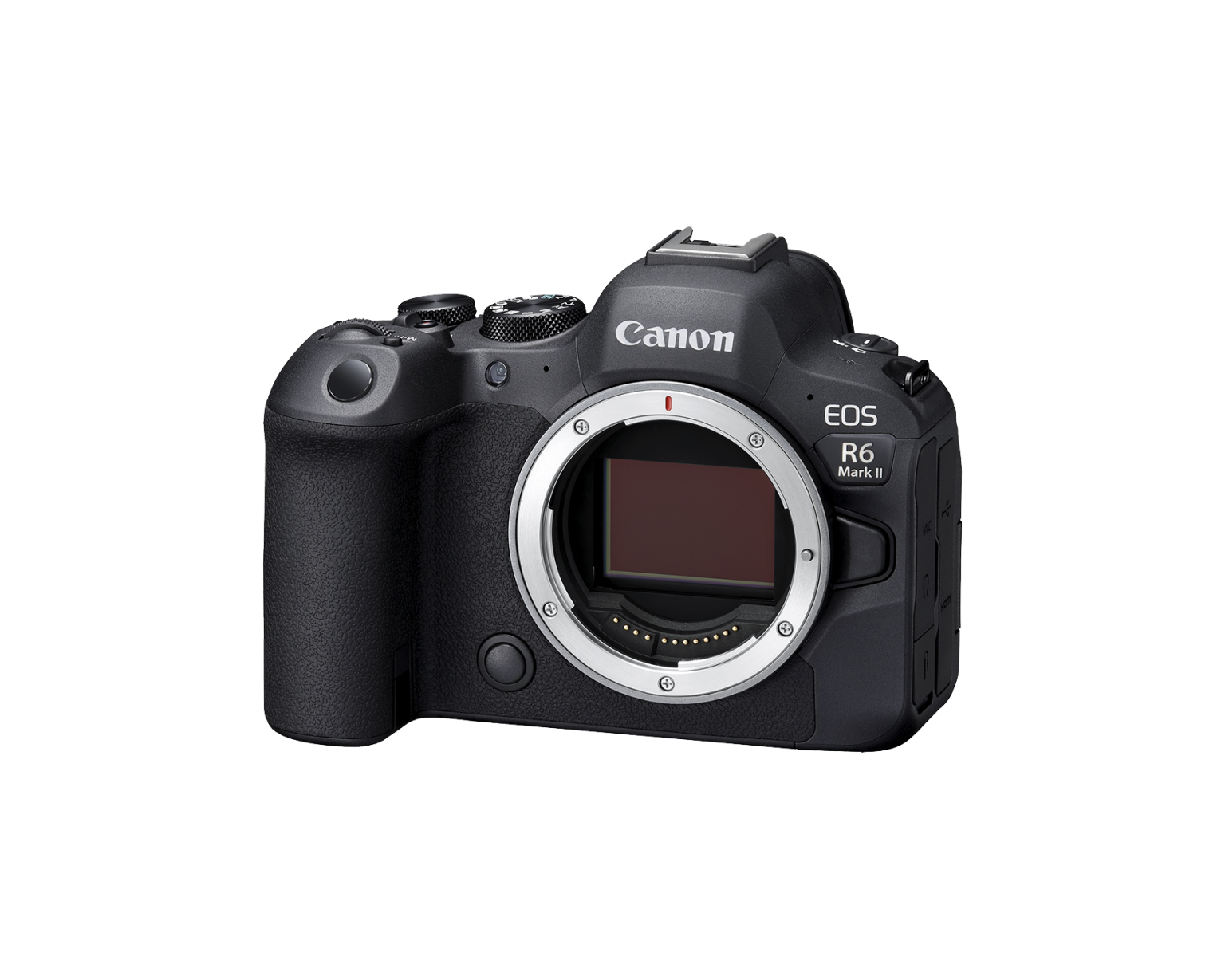 佳能发布EOS R6 Mark II相机1.1.2版本固件升级  第1张