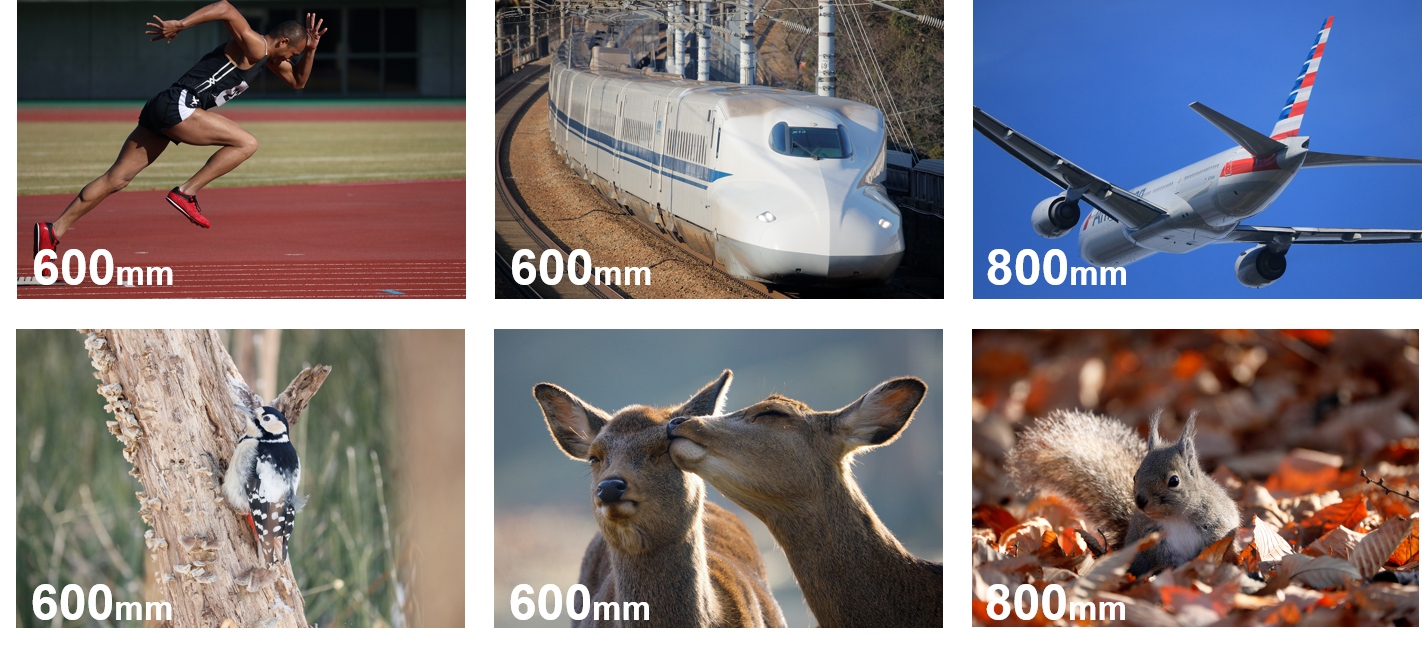 佳能发布RF600mm F11 IS STM及RF800mm STMRF超远摄定焦镜头  第2张