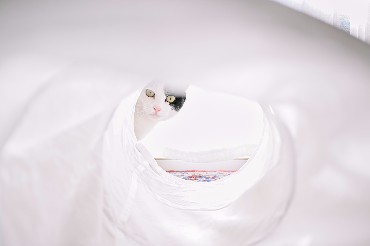 尼康尼克尔 Z 28mm f／2.8 (SE)官方实拍样张欣赏  第2张